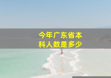 今年广东省本科人数是多少