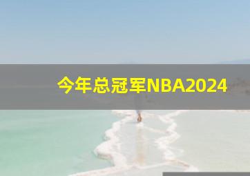 今年总冠军NBA2024