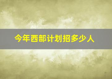 今年西部计划招多少人