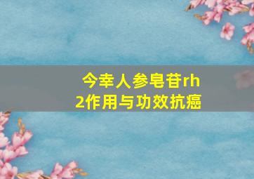 今幸人参皂苷rh2作用与功效抗癌