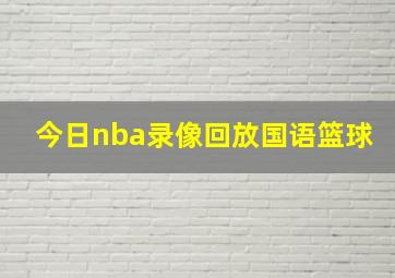 今日nba录像回放国语篮球