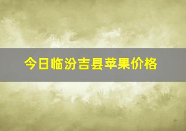 今日临汾吉县苹果价格