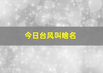 今日台风叫啥名