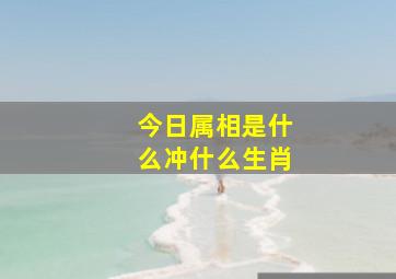 今日属相是什么冲什么生肖