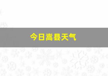 今日嵩县天气