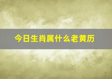 今日生肖属什么老黄历