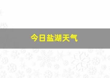 今日盐湖天气