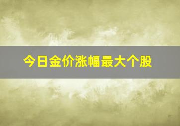 今日金价涨幅最大个股