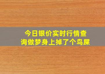 今日银价实时行情查询做梦身上掉了个鸟屎