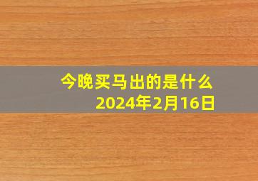 今晚买马出的是什么2024年2月16日