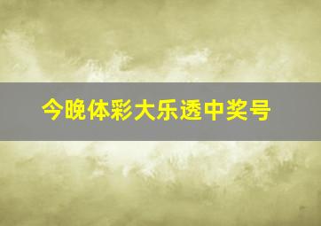 今晚体彩大乐透中奖号