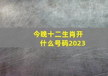 今晚十二生肖开什么号码2023