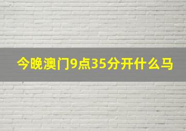 今晚澳门9点35分开什么马