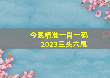 今晚精准一肖一码2023三头六尾