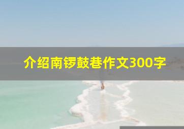 介绍南锣鼓巷作文300字