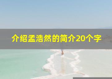 介绍孟浩然的简介20个字