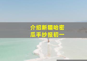 介绍新疆哈密瓜手抄报初一