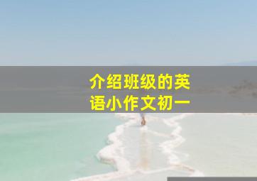 介绍班级的英语小作文初一