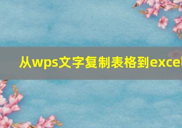 从wps文字复制表格到excel