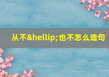 从不…也不怎么造句