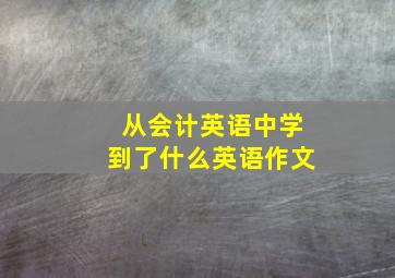 从会计英语中学到了什么英语作文