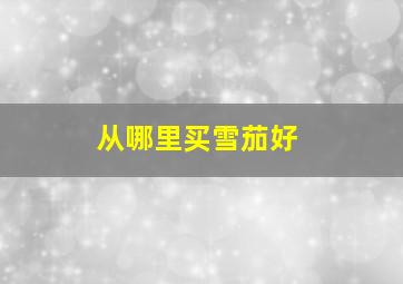 从哪里买雪茄好