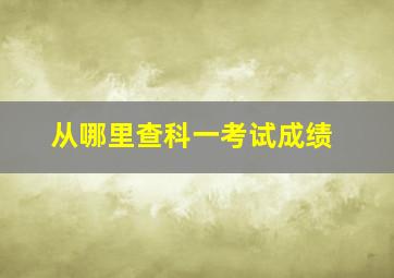 从哪里查科一考试成绩