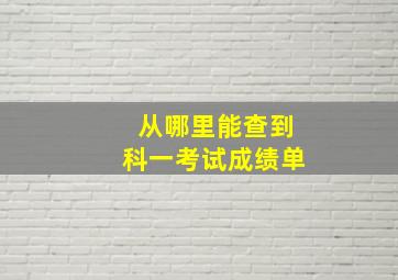 从哪里能查到科一考试成绩单