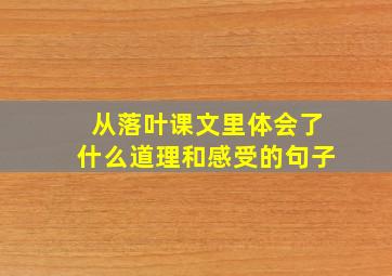 从落叶课文里体会了什么道理和感受的句子