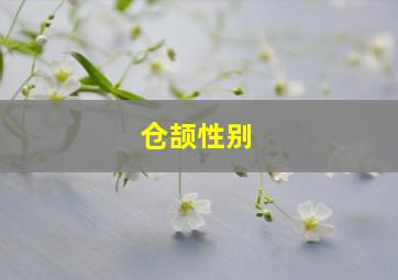 仓颉性别