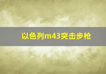 以色列m43突击步枪