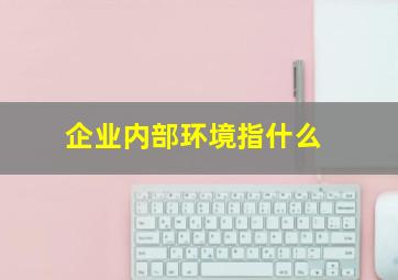 企业内部环境指什么