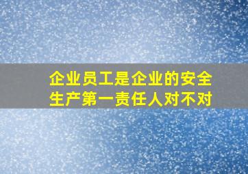 企业员工是企业的安全生产第一责任人对不对