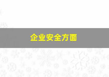 企业安全方面