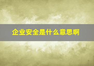 企业安全是什么意思啊