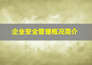 企业安全管理概况简介