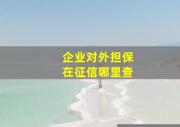 企业对外担保在征信哪里查