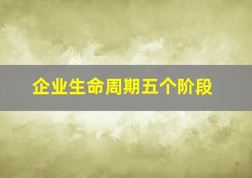 企业生命周期五个阶段