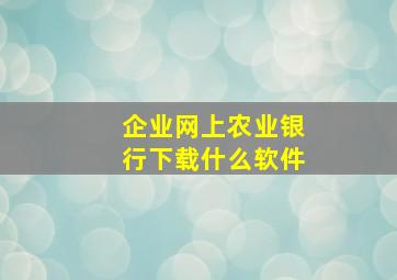 企业网上农业银行下载什么软件