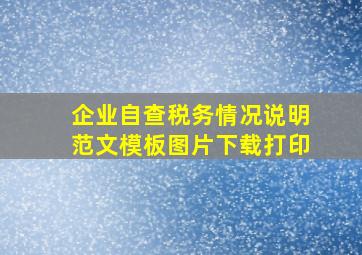 企业自查税务情况说明范文模板图片下载打印