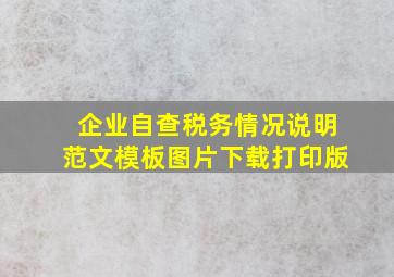 企业自查税务情况说明范文模板图片下载打印版