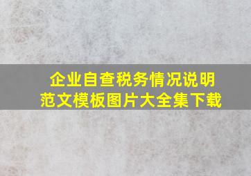 企业自查税务情况说明范文模板图片大全集下载