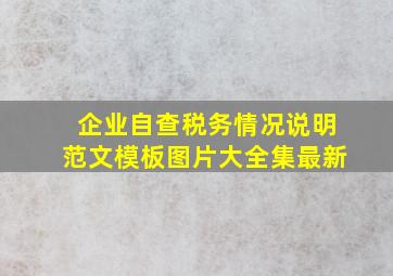 企业自查税务情况说明范文模板图片大全集最新