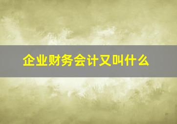 企业财务会计又叫什么