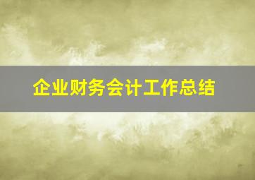 企业财务会计工作总结