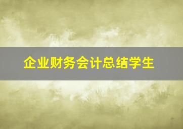 企业财务会计总结学生