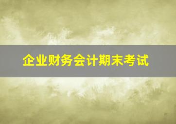 企业财务会计期末考试