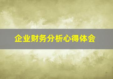 企业财务分析心得体会