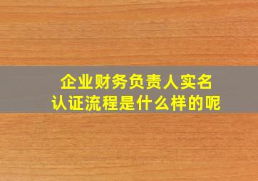 企业财务负责人实名认证流程是什么样的呢