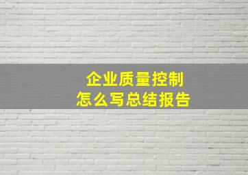 企业质量控制怎么写总结报告